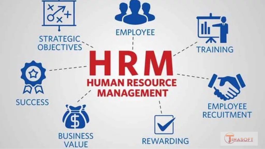 Quản trị nguồn nhân lực HRM là gì?